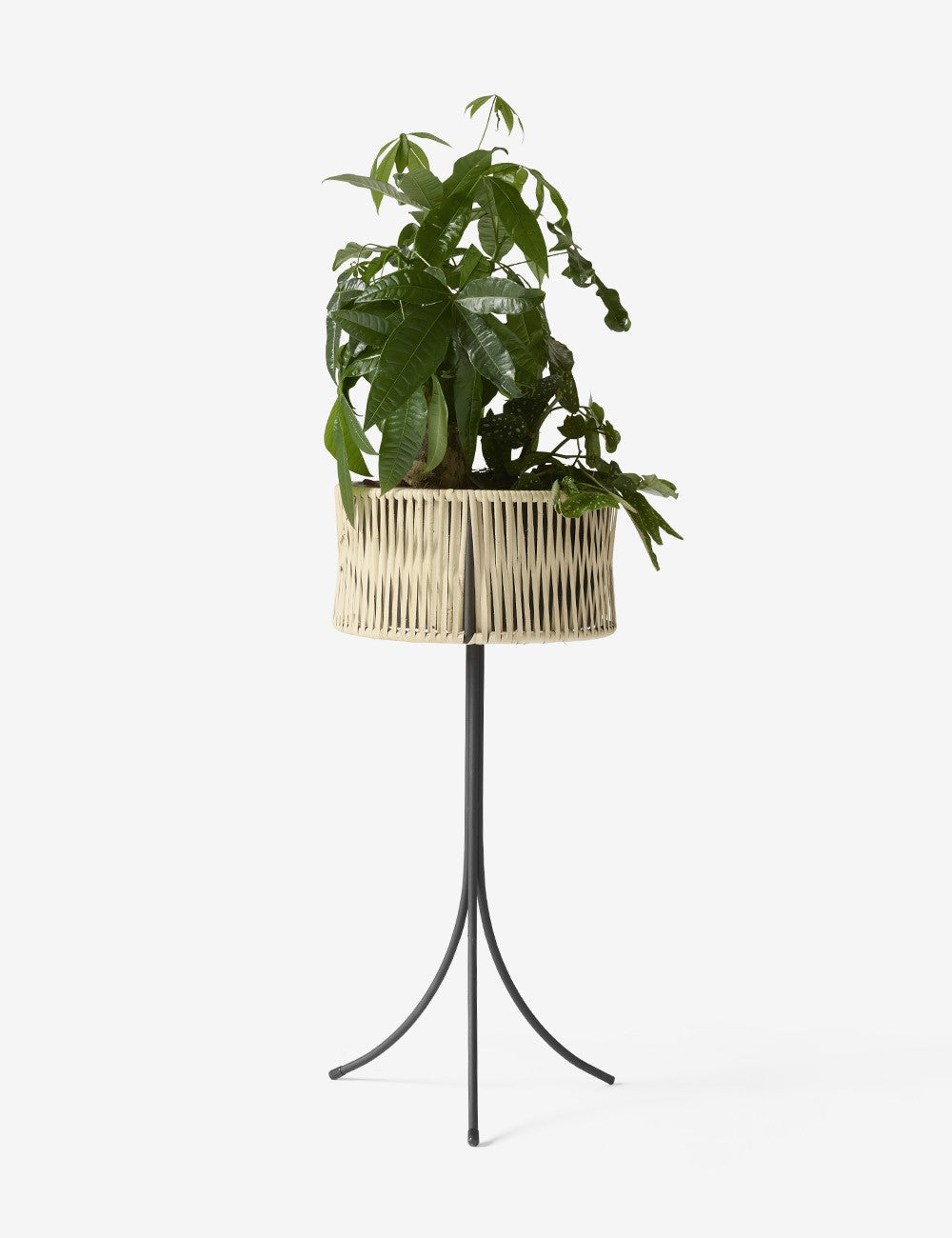 UMANOFF PLANTER