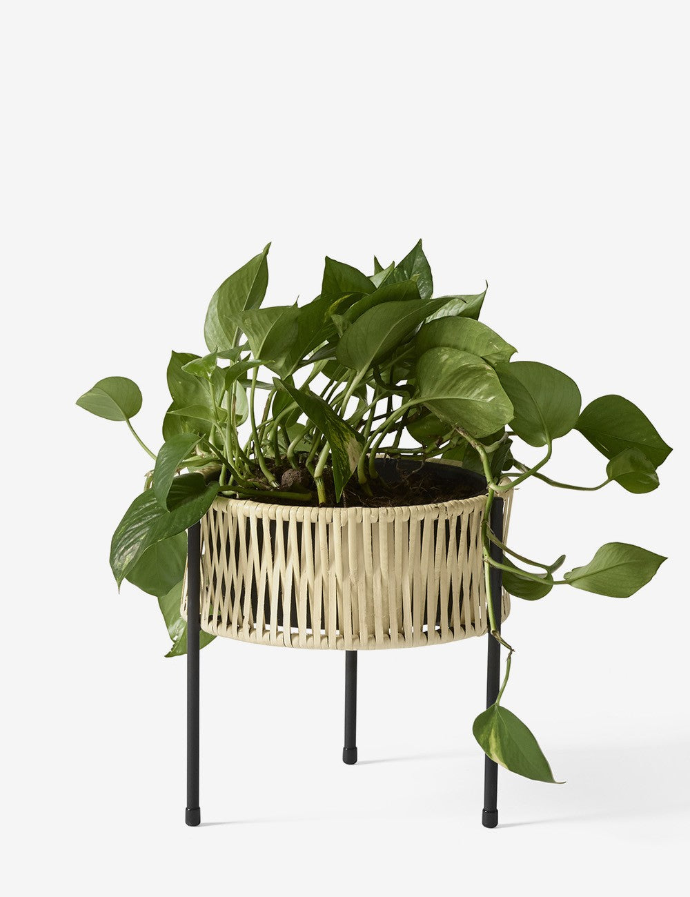 UMANOFF PLANTER