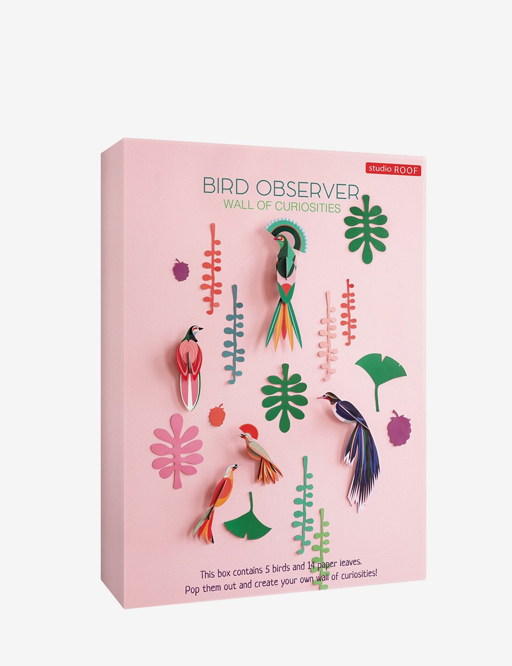 bird observer