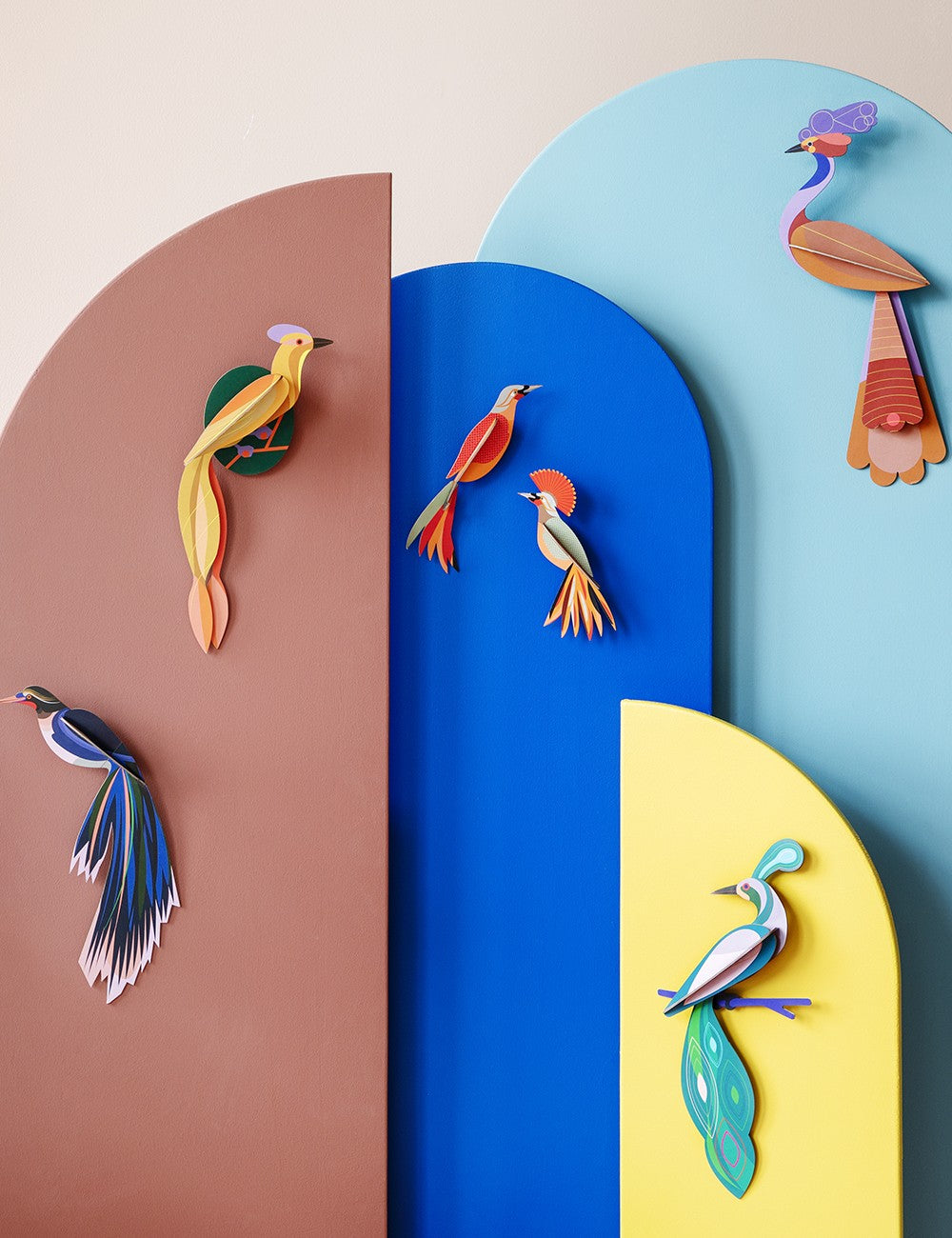 PARADISE BIRD SAVU