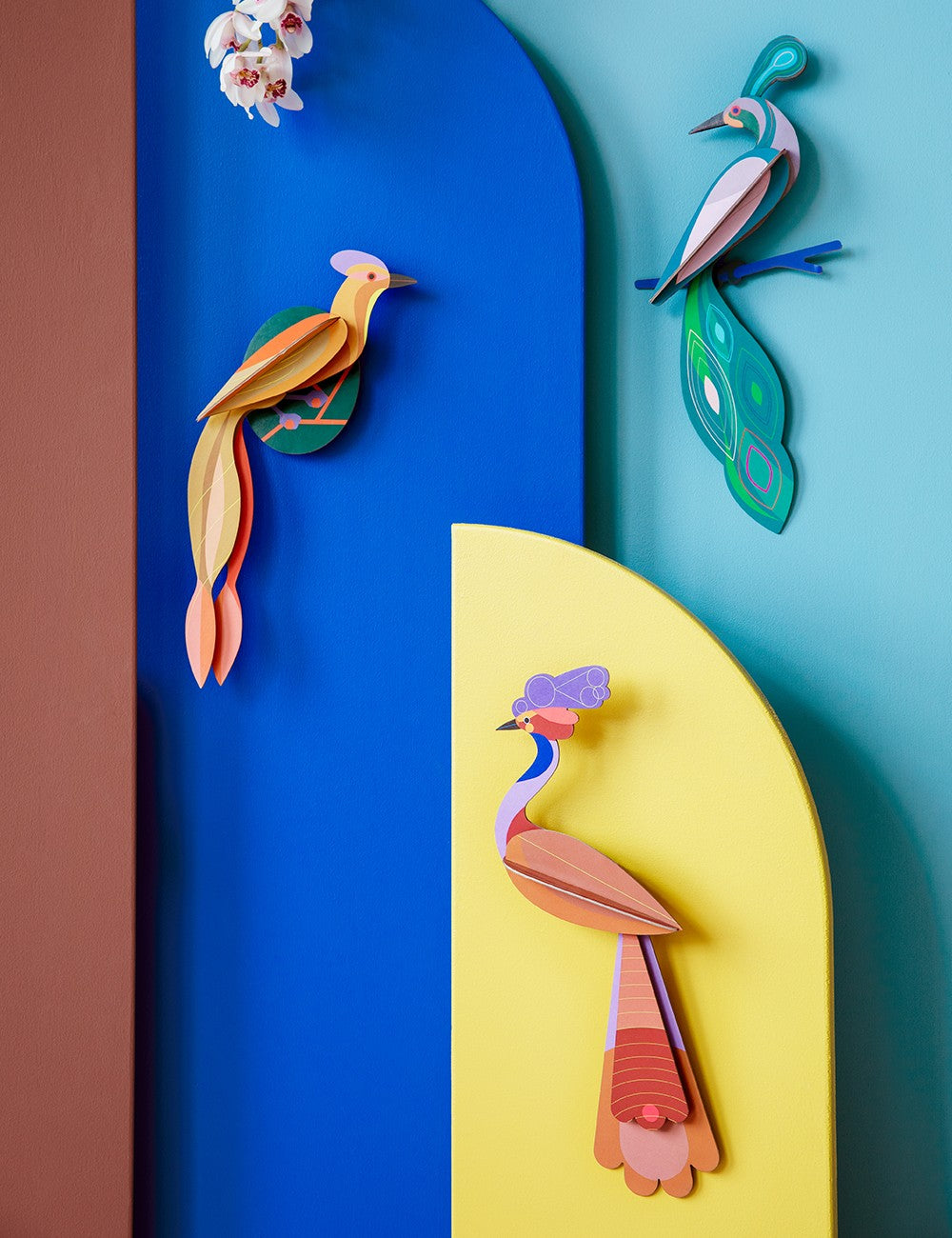 PARADISE BIRD SAVU