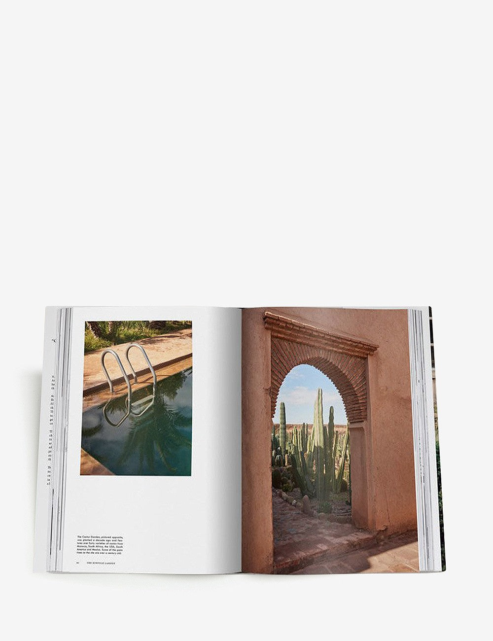 kinfolk garden