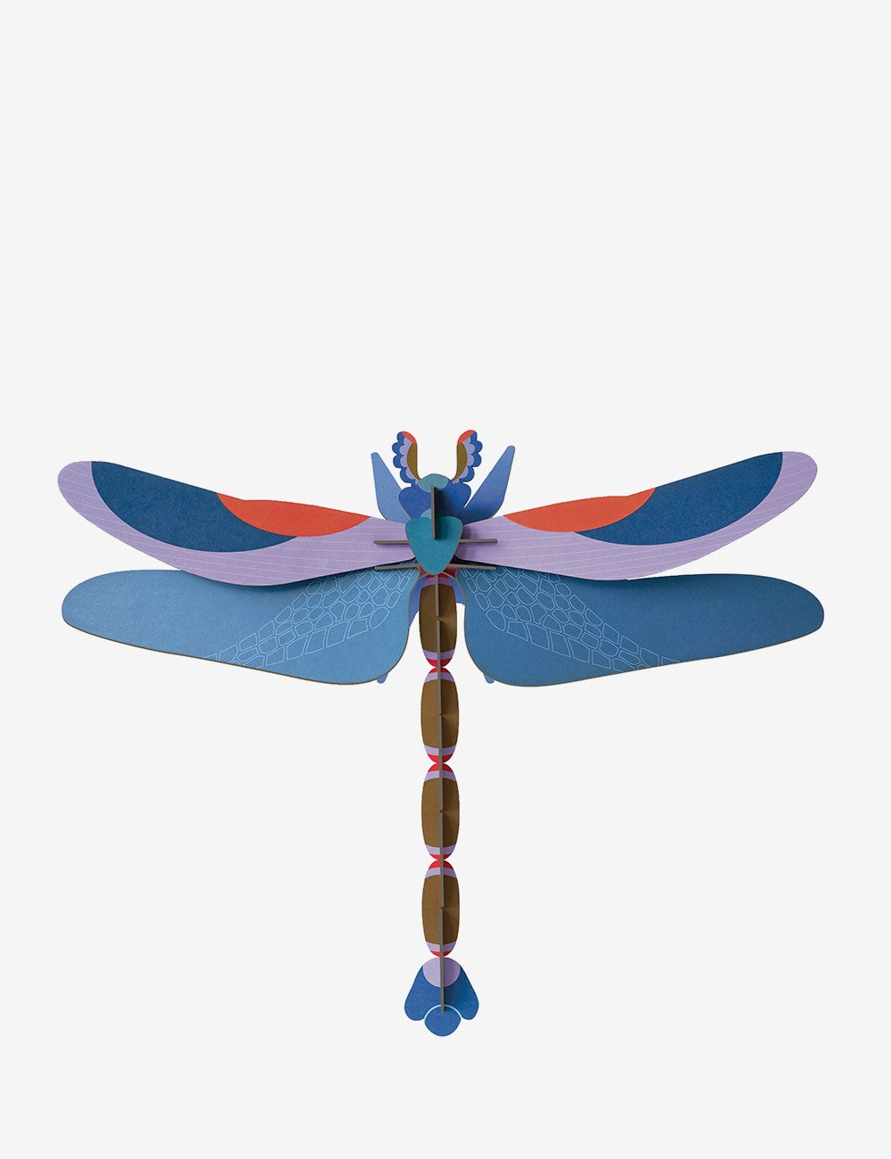 giant blue dragonfly