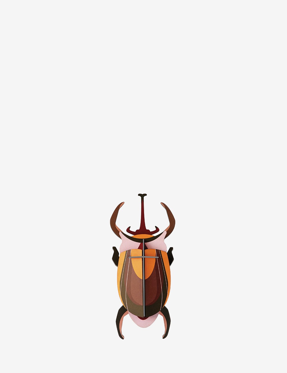 ELEPHANT BEETLE