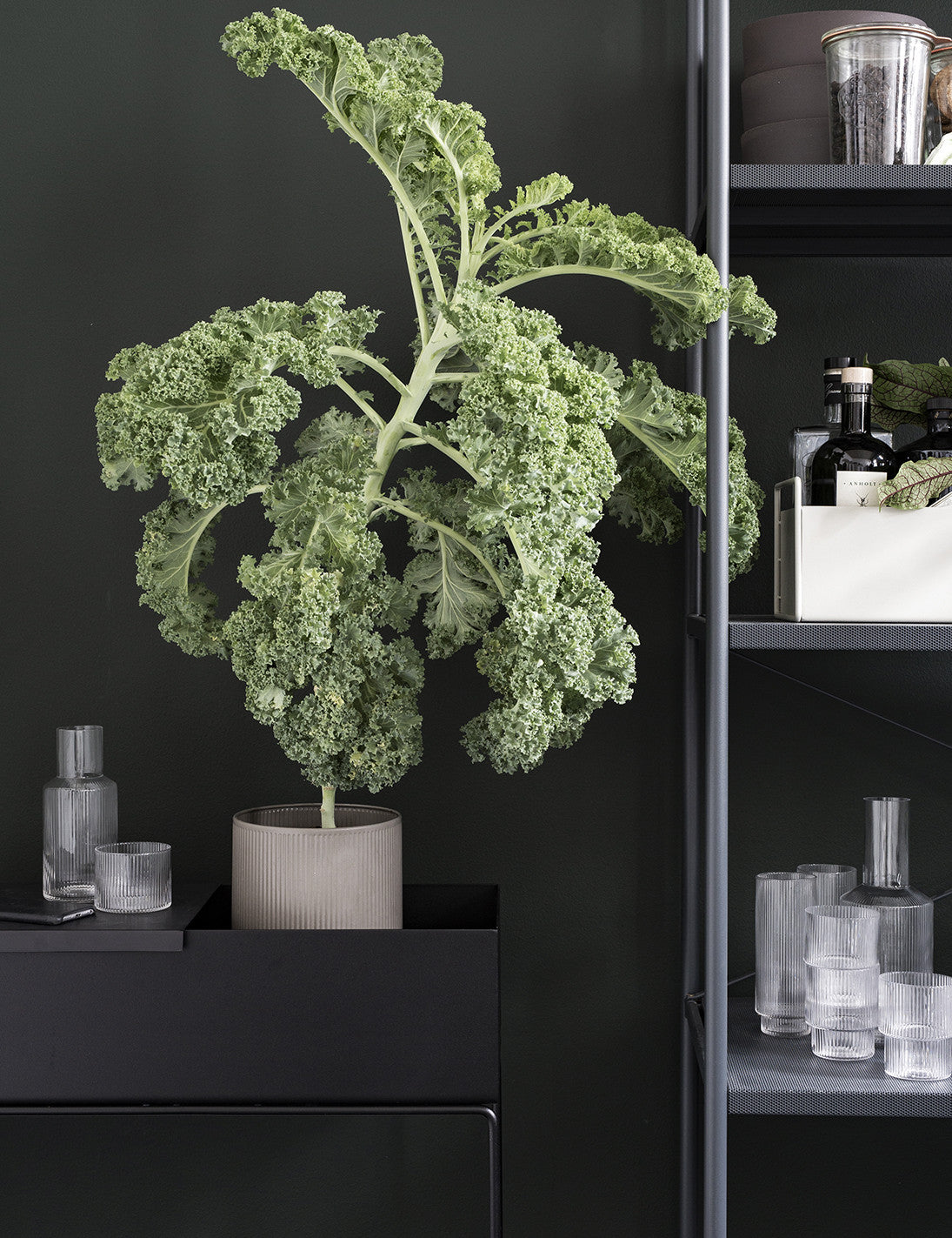 PLANT BOX
