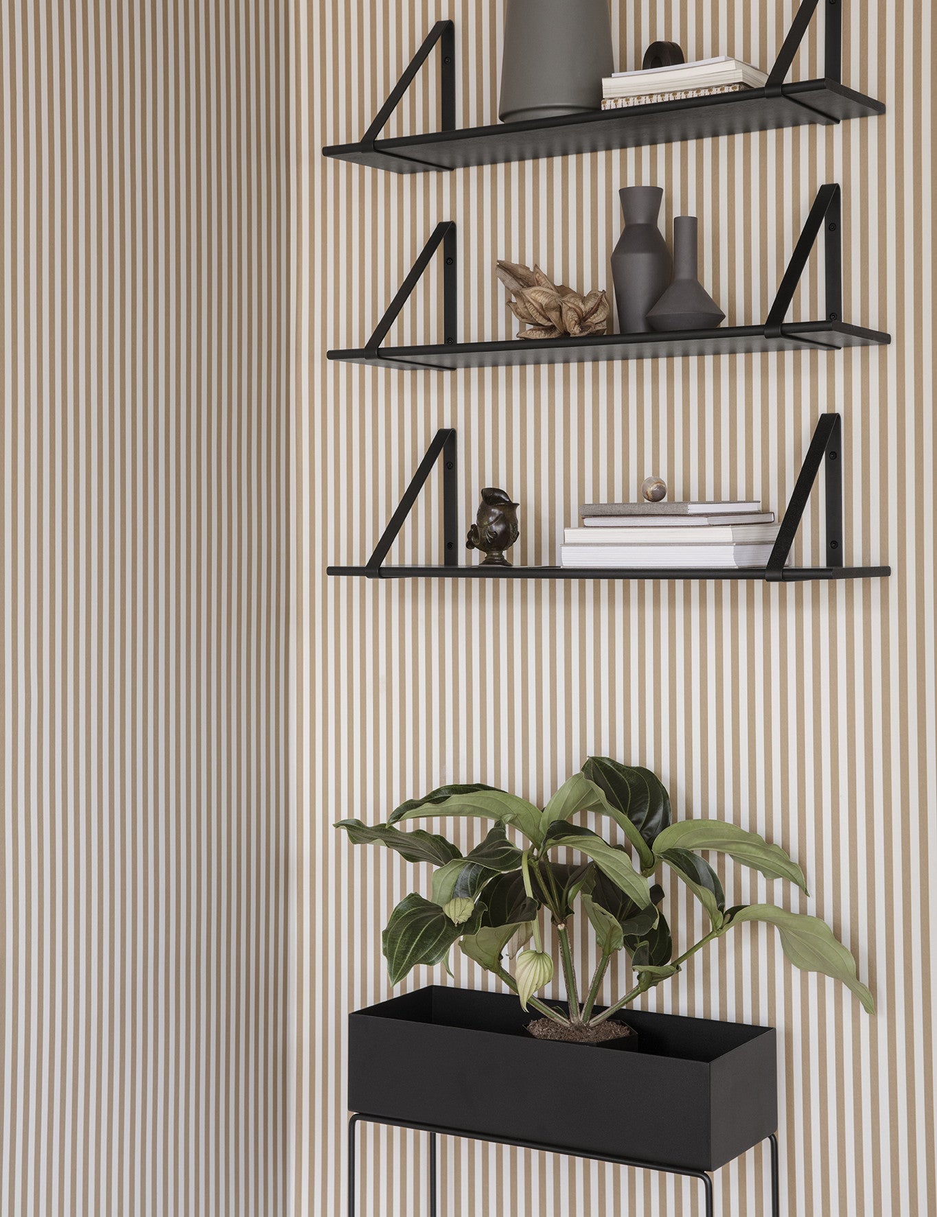 PLANT BOX
