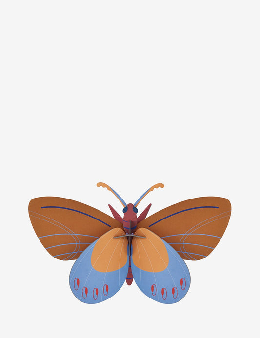 OCHRE COSTA BUTTERFLY