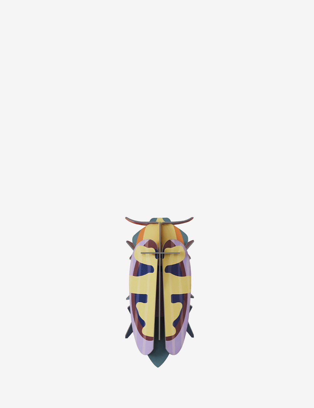 MANGO FLOWER BEETLE