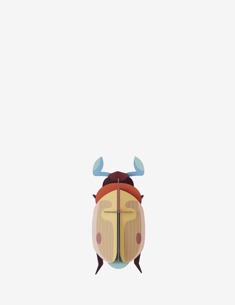 LEMON FRUIT BEETLE