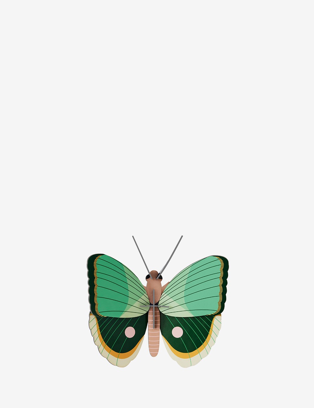 FERN STRIPED BUTTERFLY