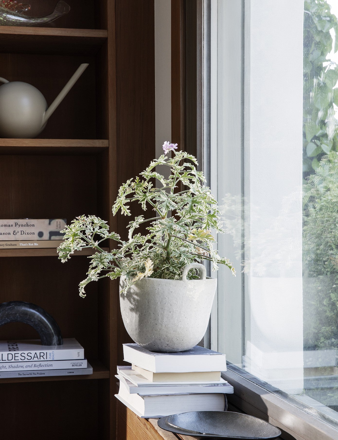 speckle pot