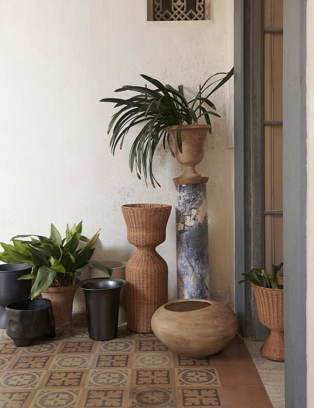 dodu pot tall
