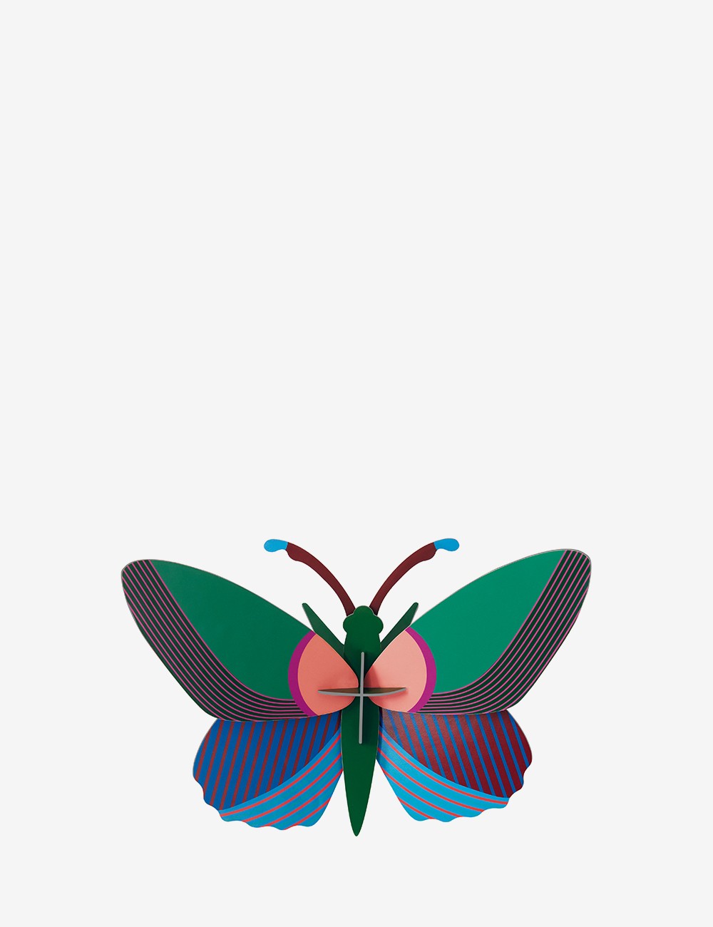 acacia butterfly