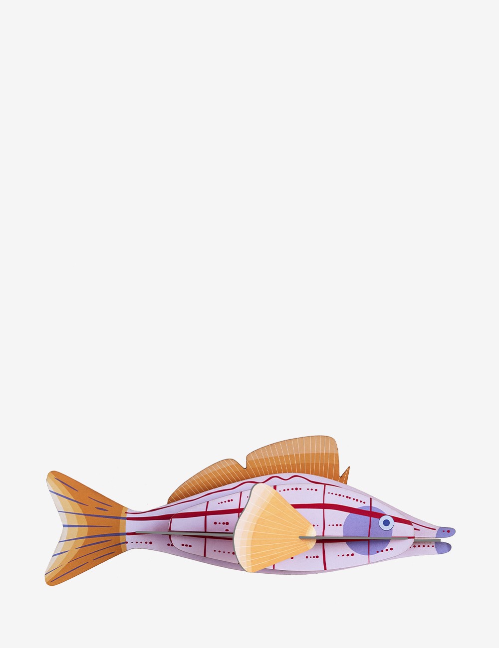 longnose hawkfish