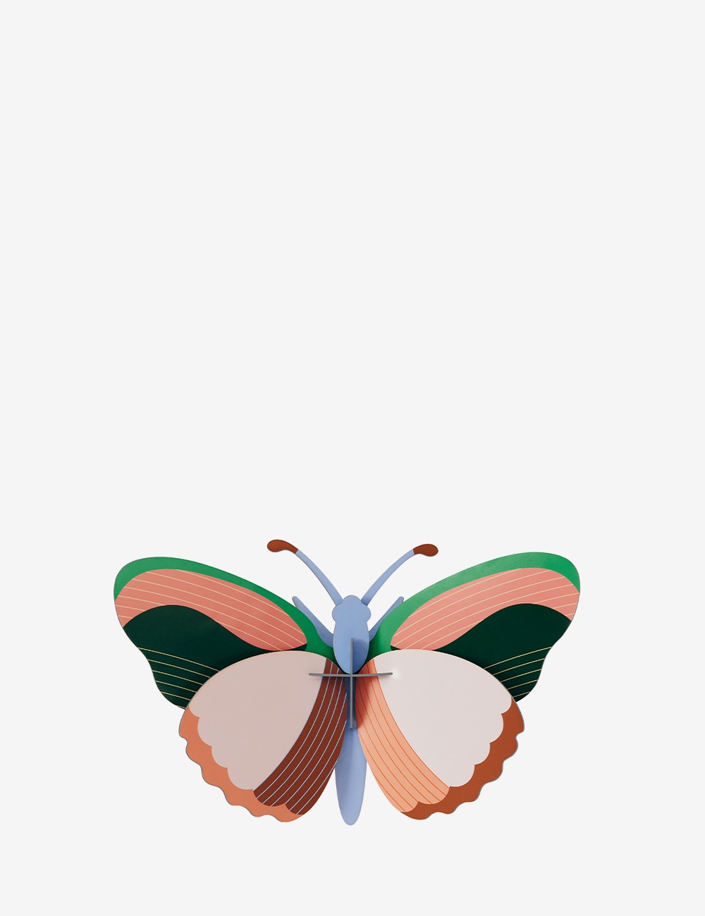 SYCAMORE BUTTERFLY
