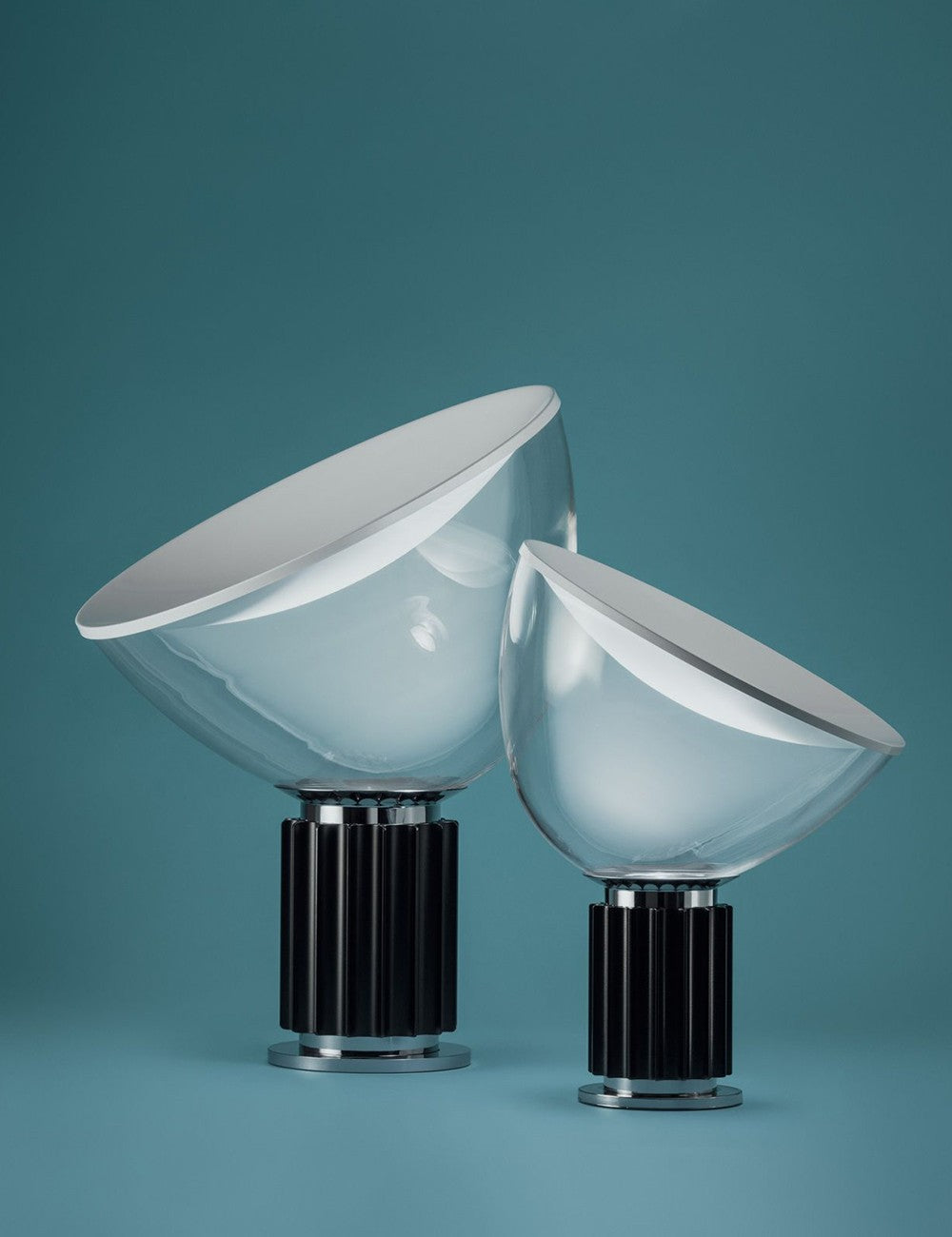 taccia small