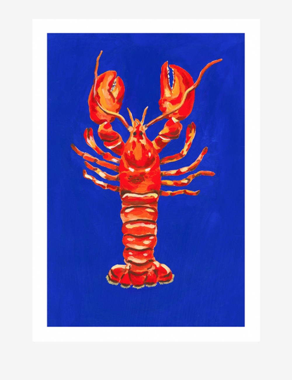 LE COMPLEXE DU HOMARD