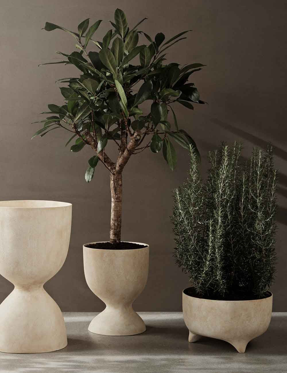 evoke pot low