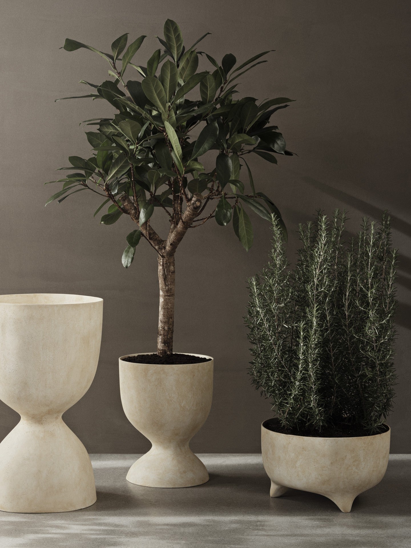 evoke pot medium