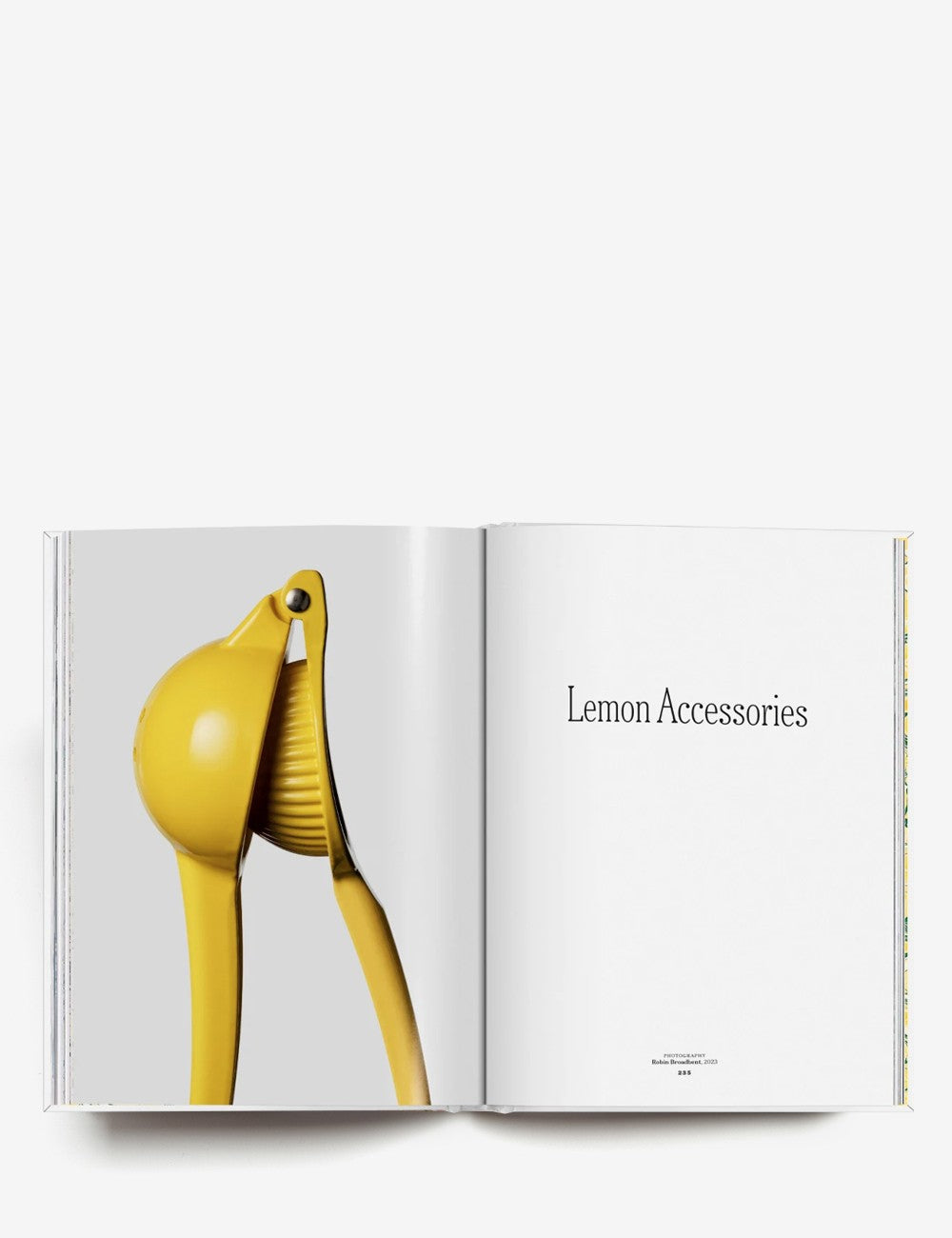 the gourmand´s lemon