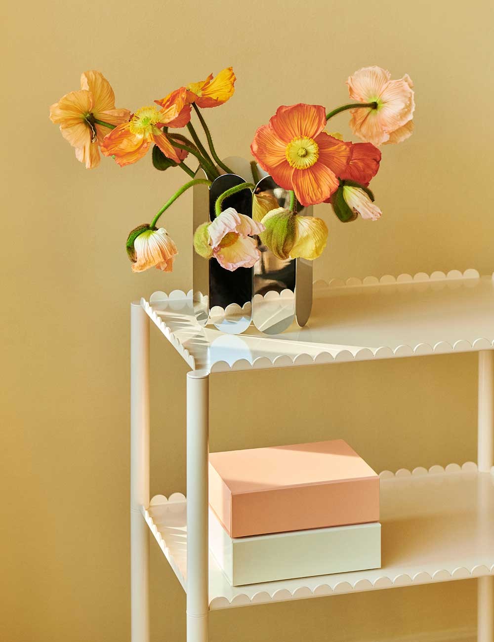 stockage de couleurs xs