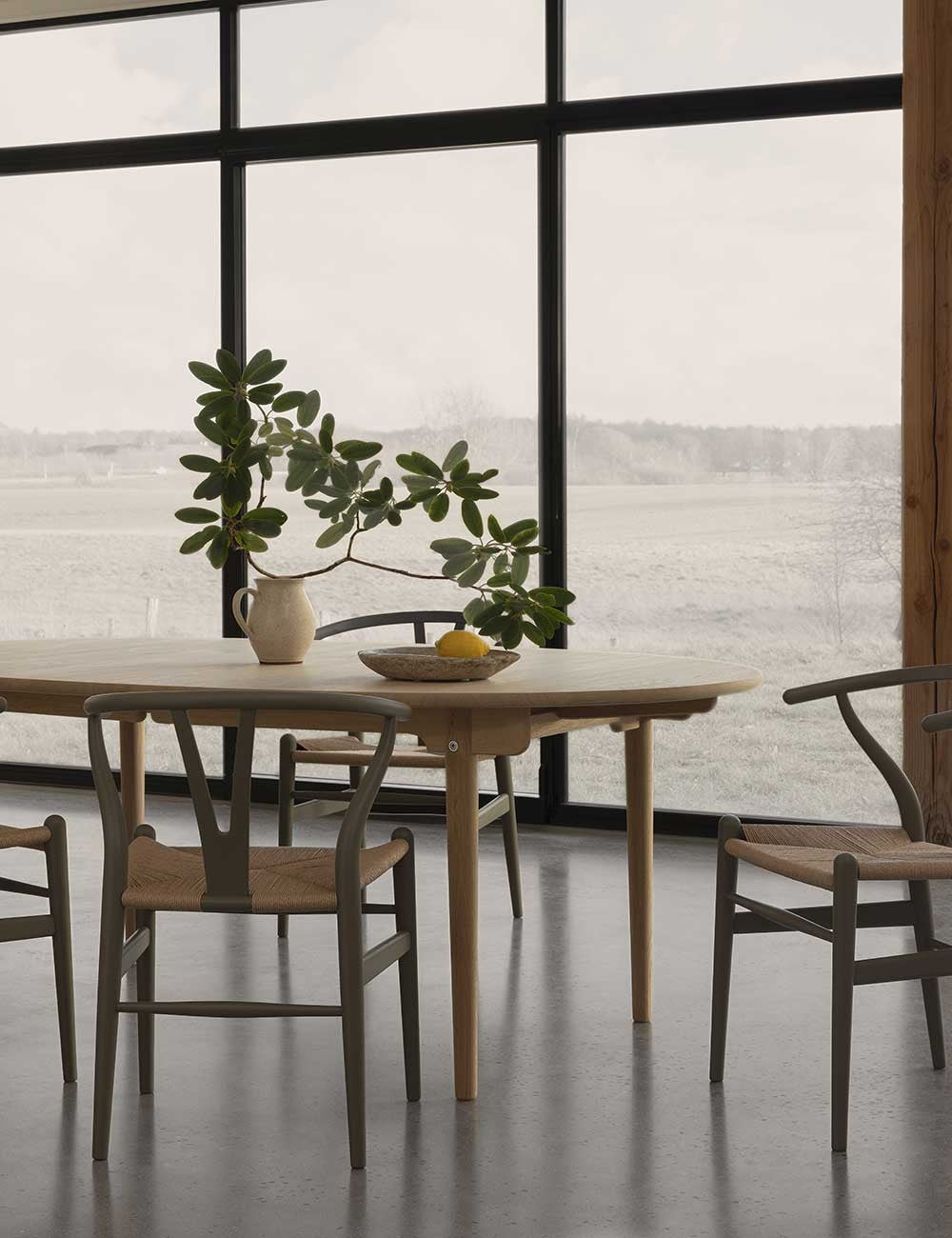 ch24 wishbone chair haya