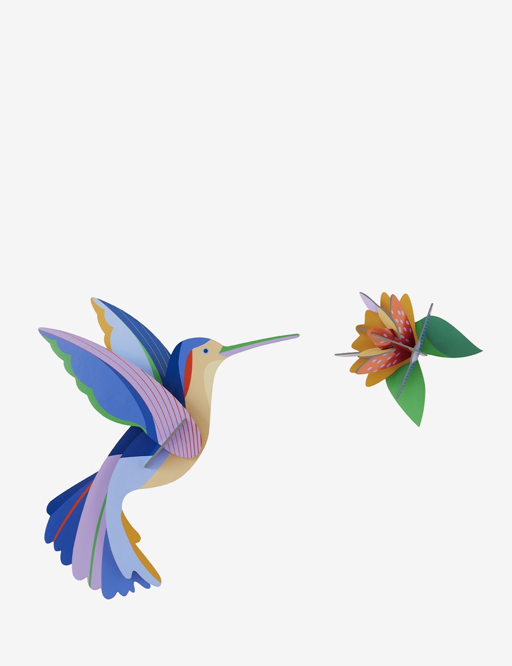 hummingbird