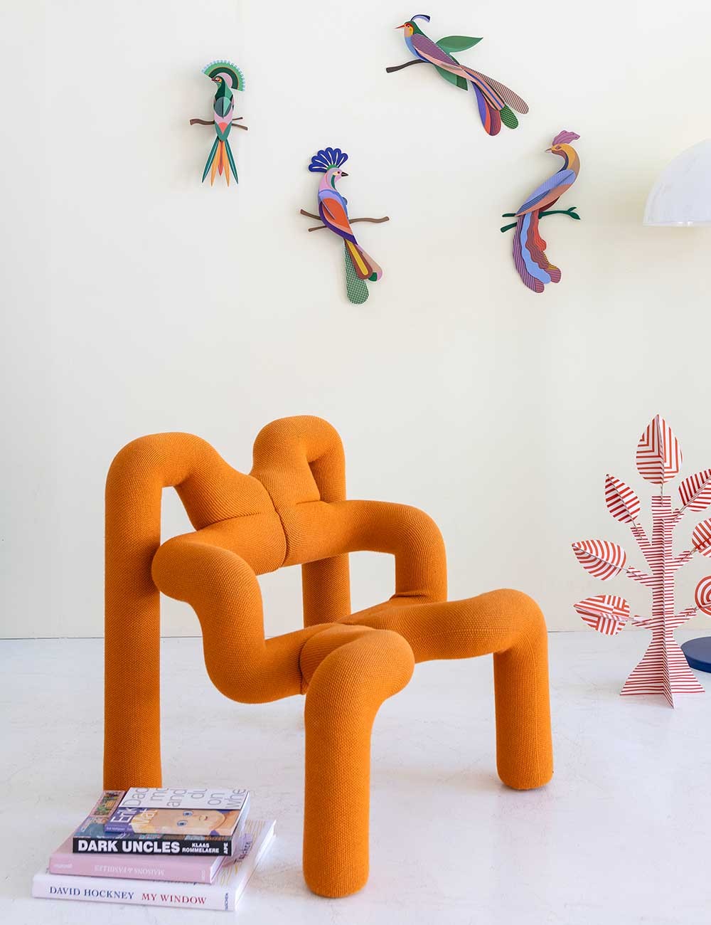 paradise bird maya