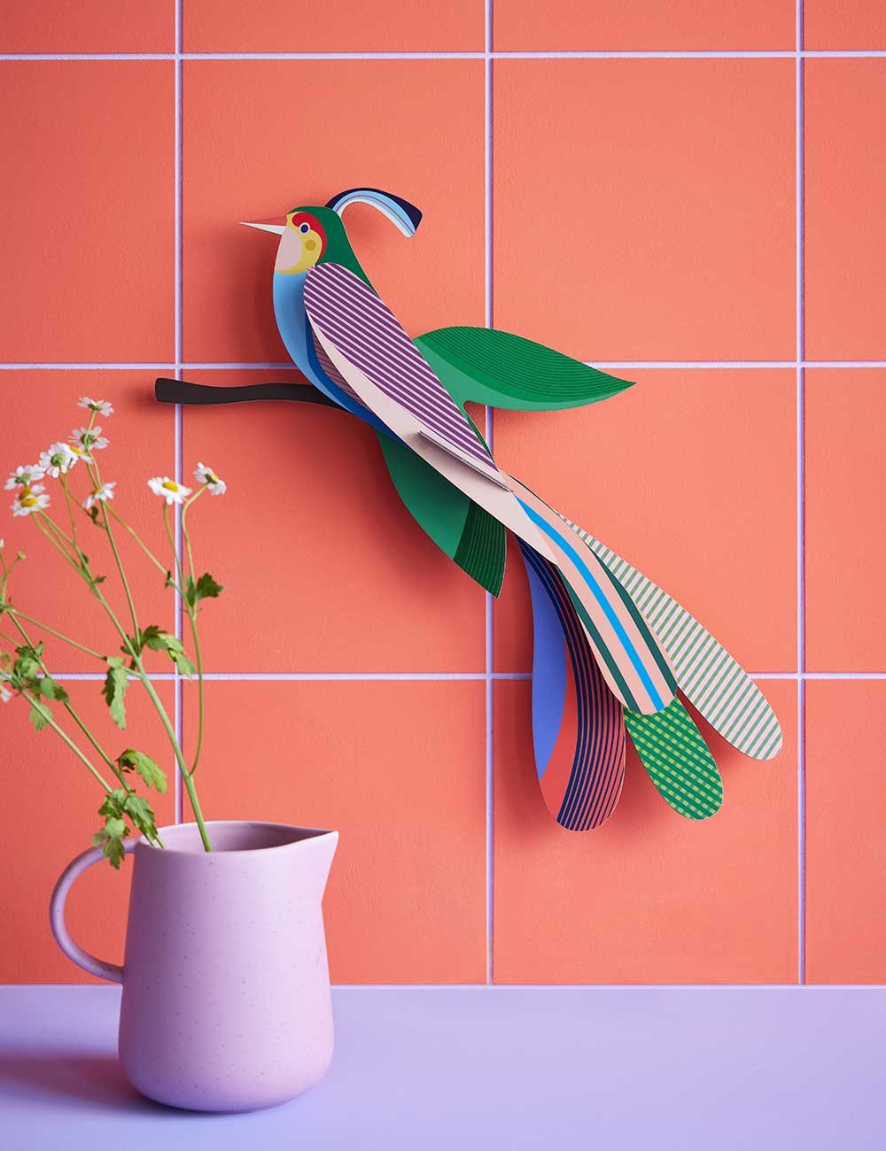 paradise bird maya
