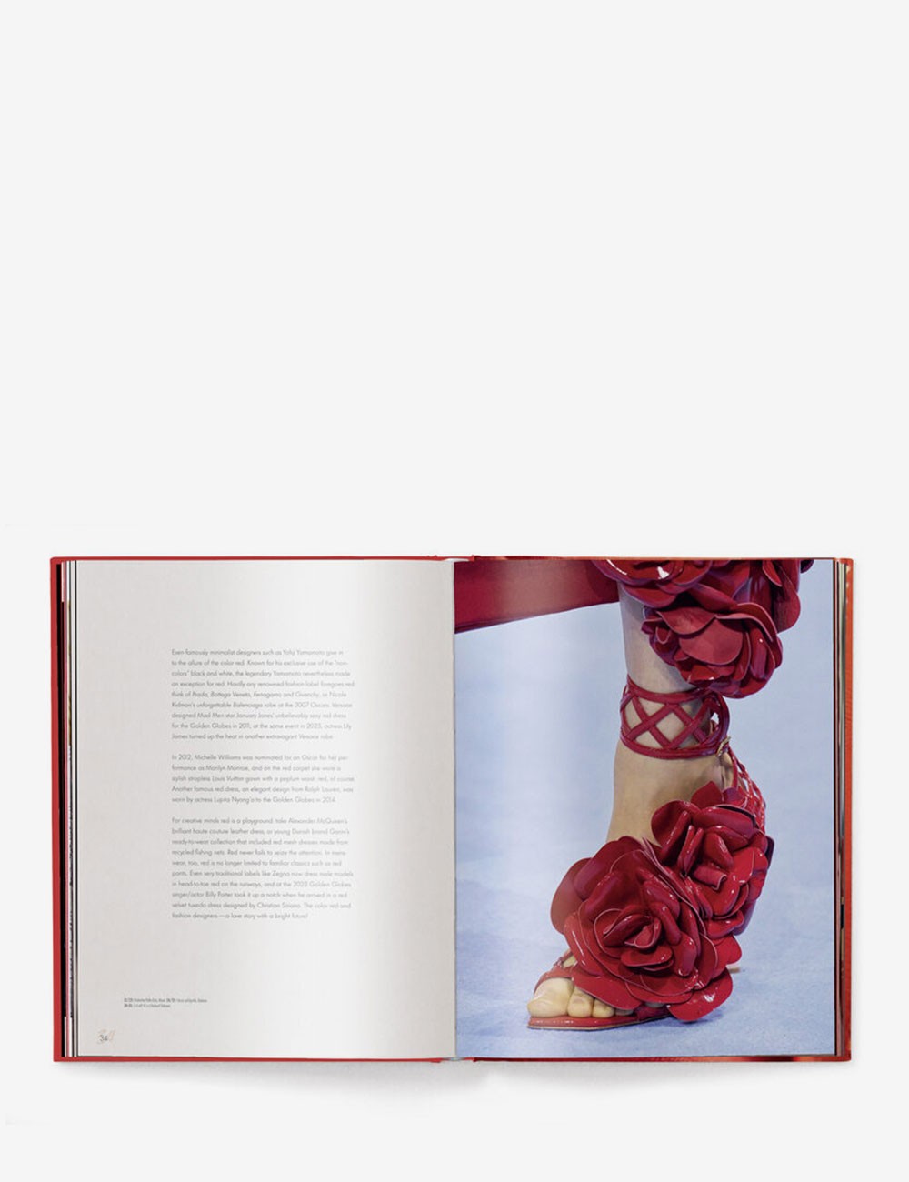 THE RED BOOK