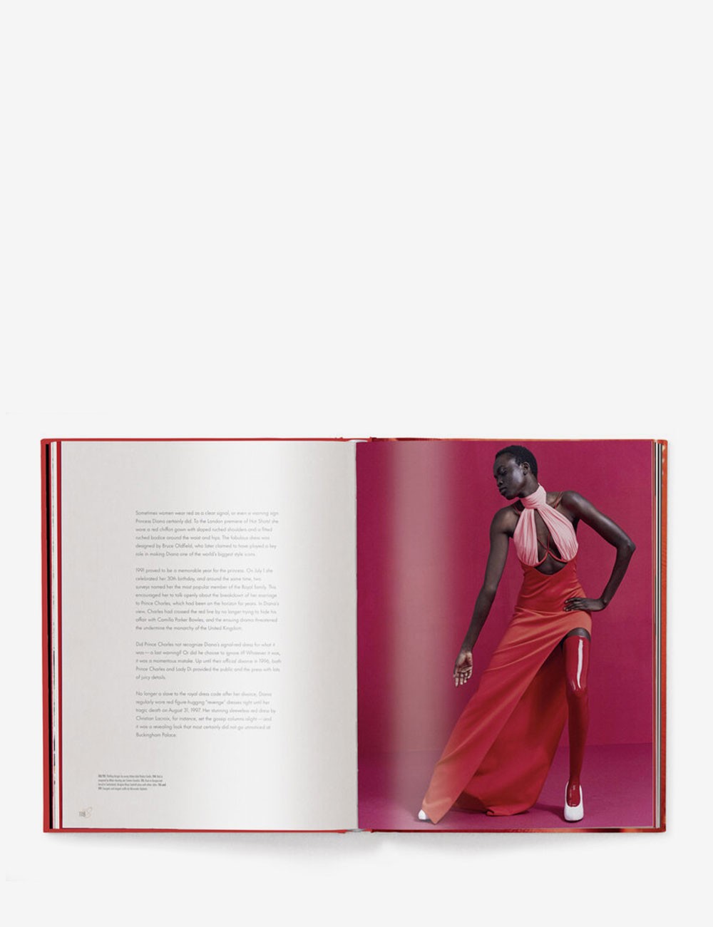 THE RED BOOK
