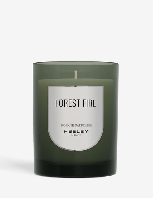 FOREST FIRE