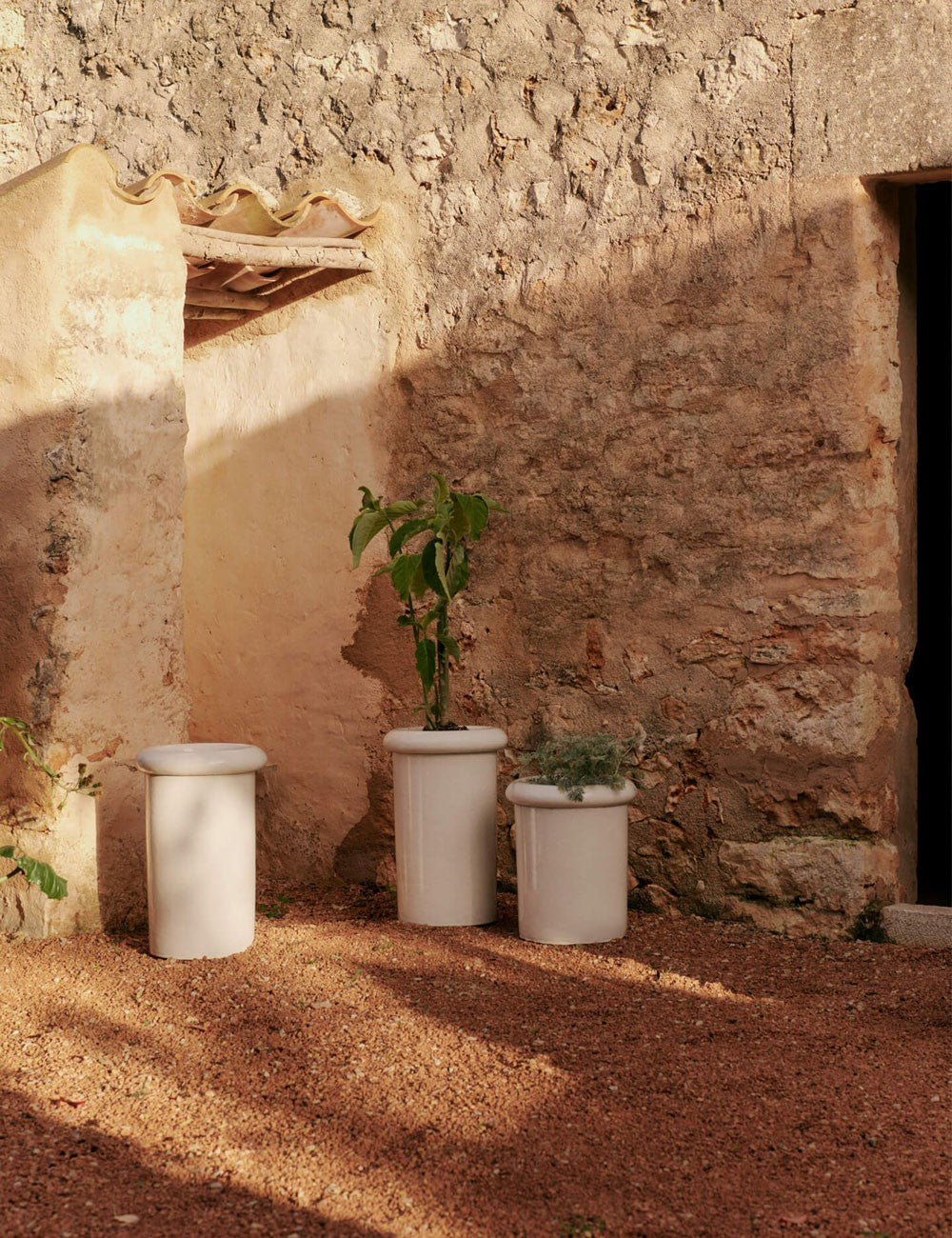 ROLLO POT