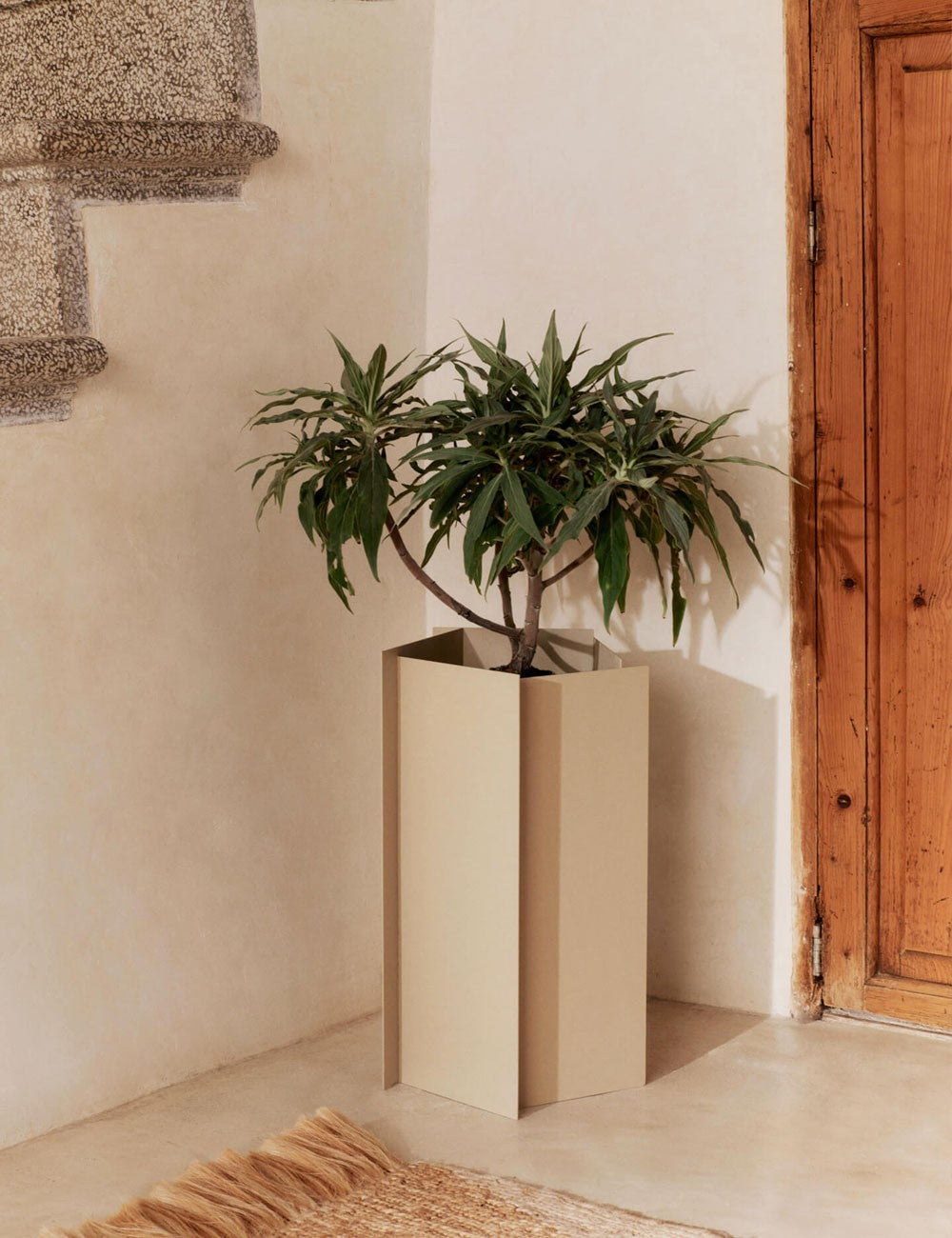 fragma planter