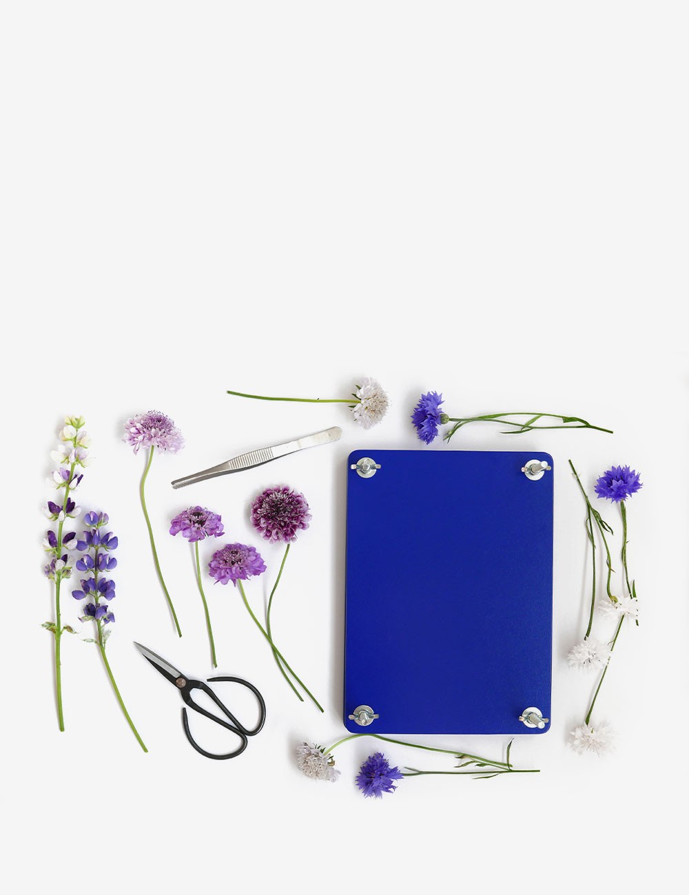 set prensa flores