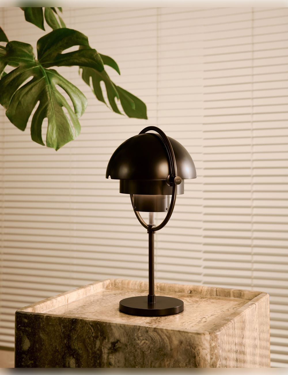 multi-lite portable lamp