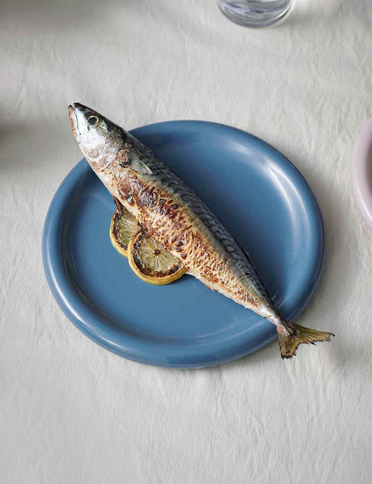 Barro plate Ø24 2 set