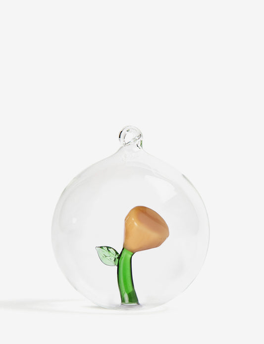 Bola cristal Botanica