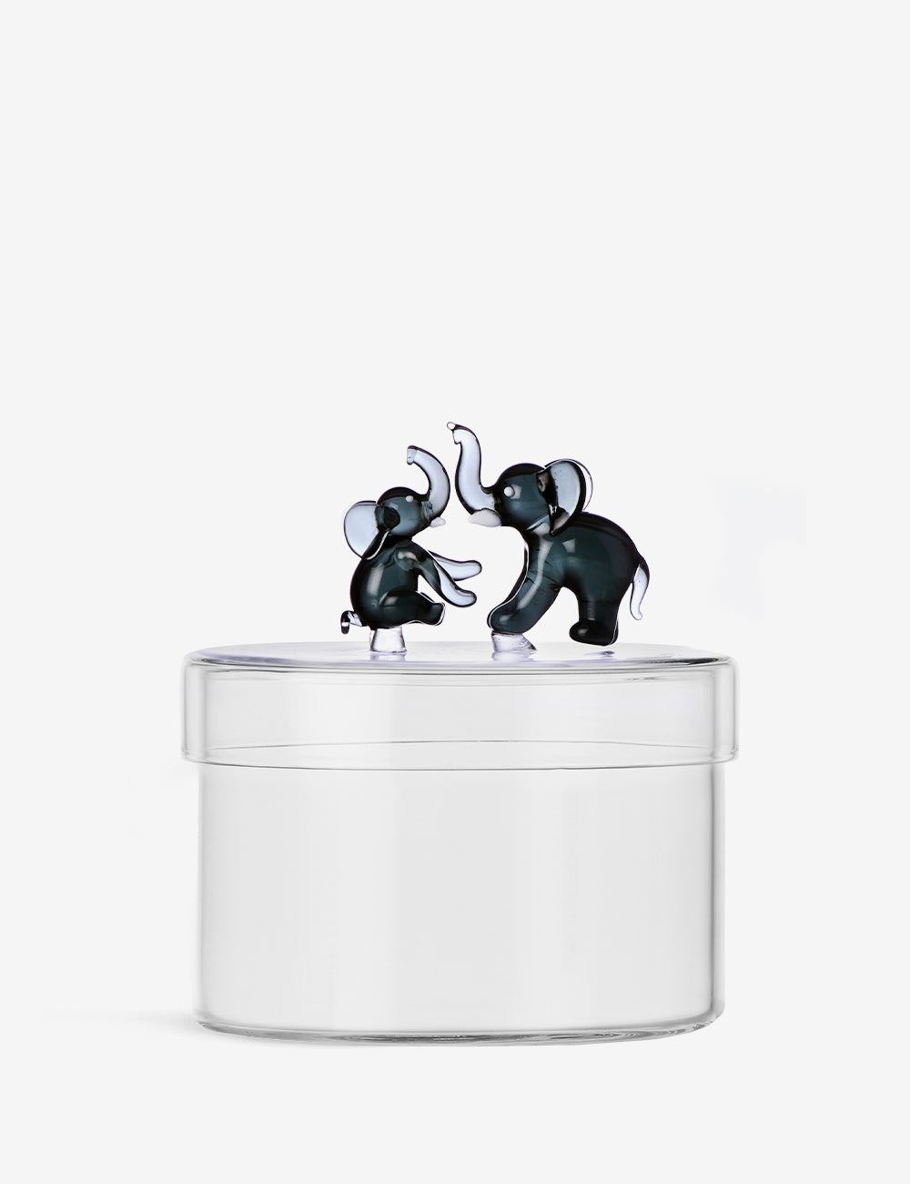 Caja Tender Ties