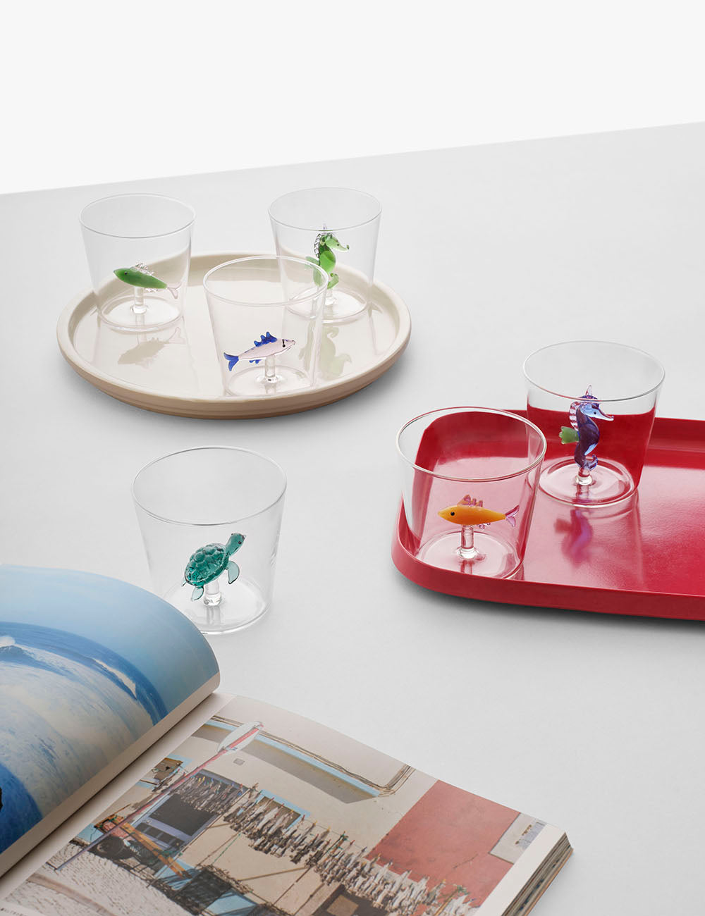 Verre tortue Marine Garden