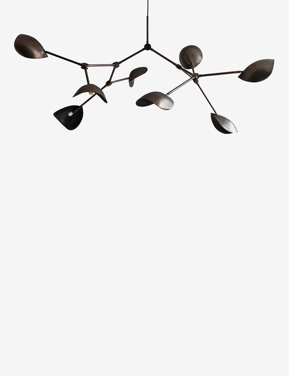 Stingray Chandelier