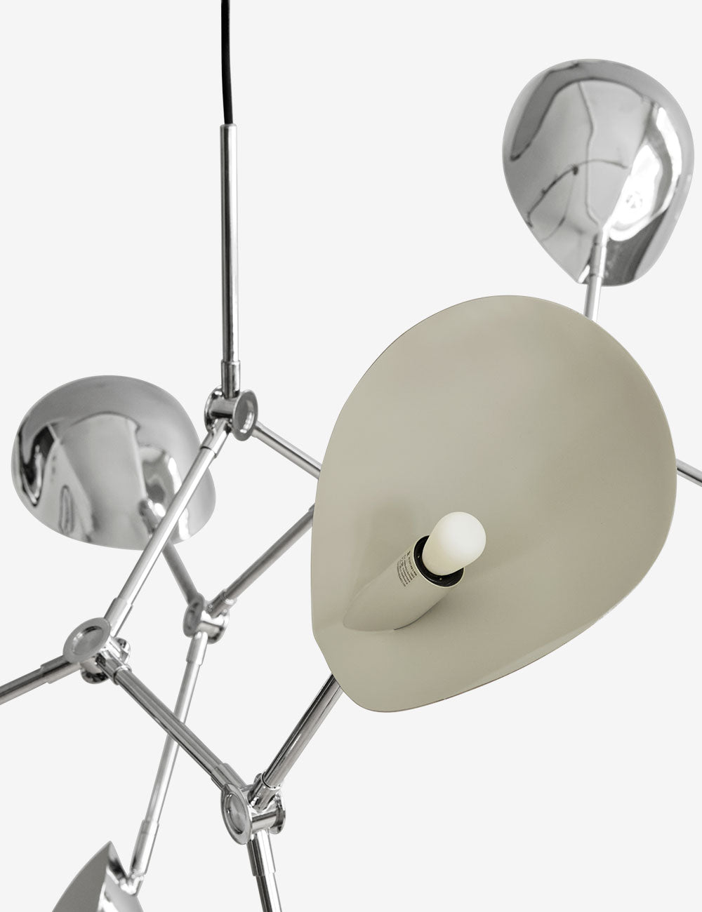 Stingray Chandelier