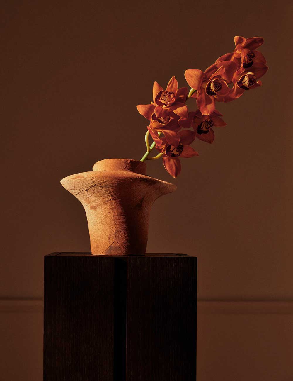 Vaso Evio H22