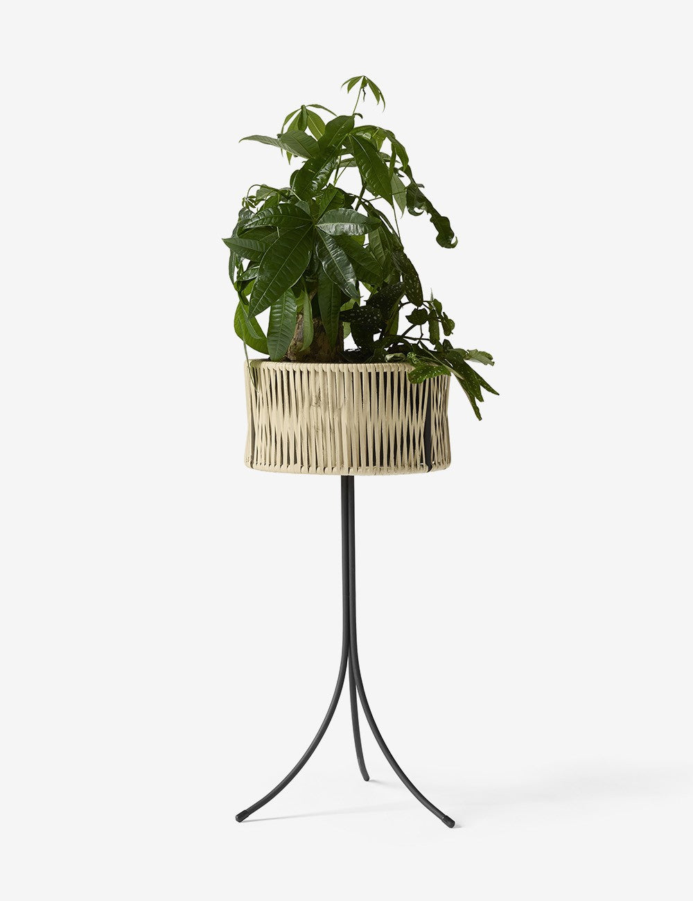 UMANOFF PLANTER