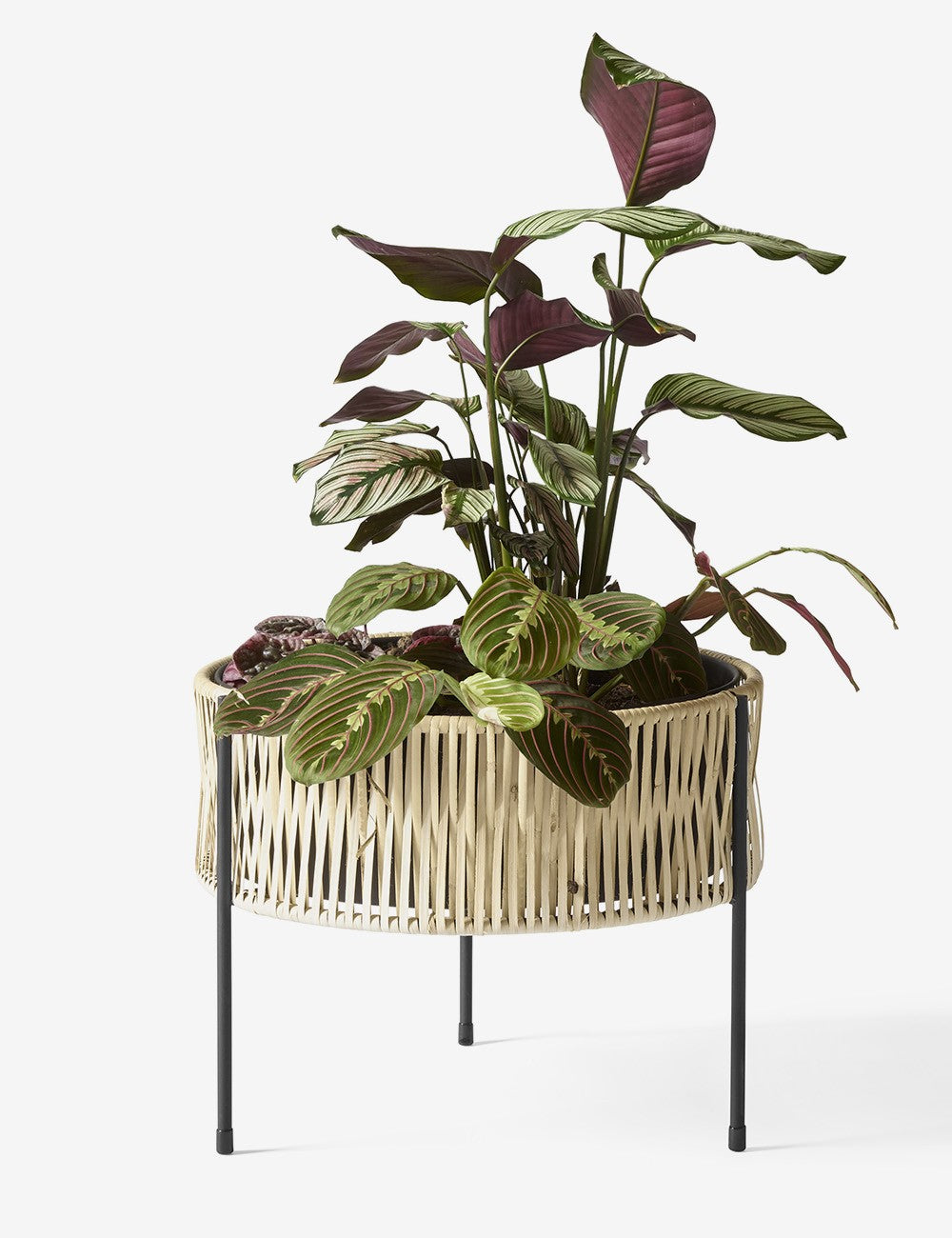 UMANOFF PLANTER