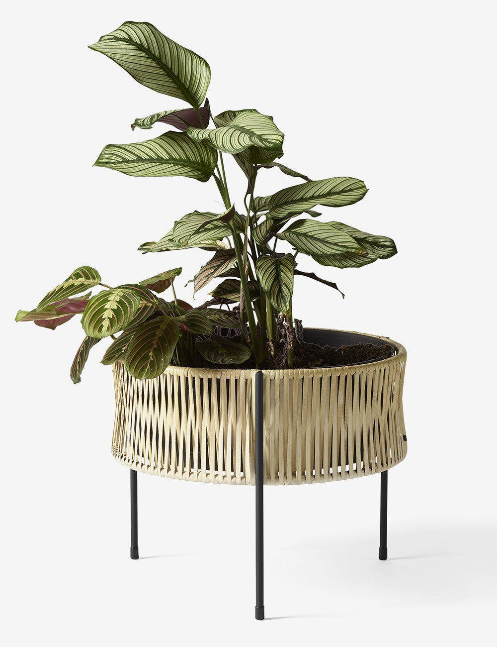 UMANOFF PLANTER
