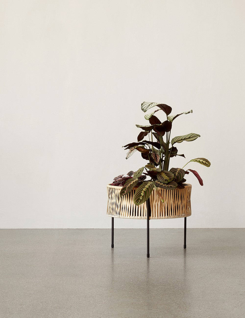 UMANOFF PLANTER