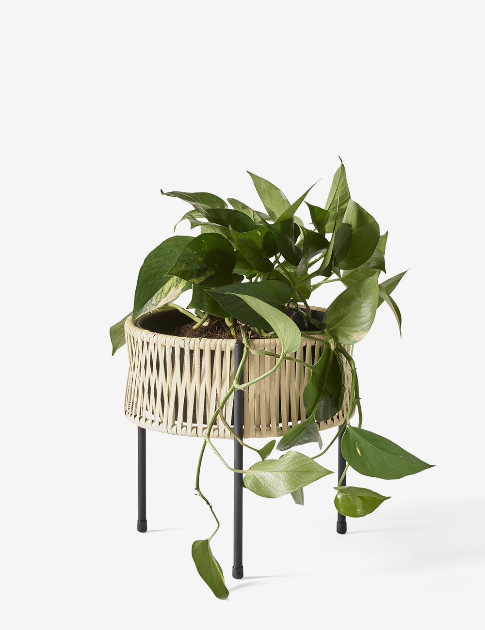 UMANOFF PLANTER