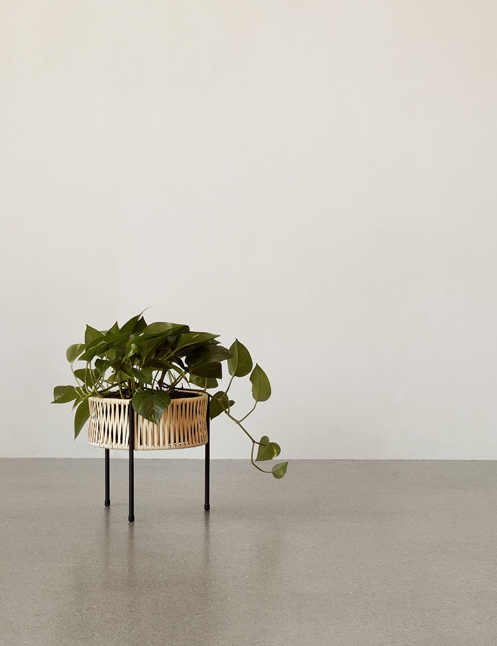 UMANOFF PLANTER