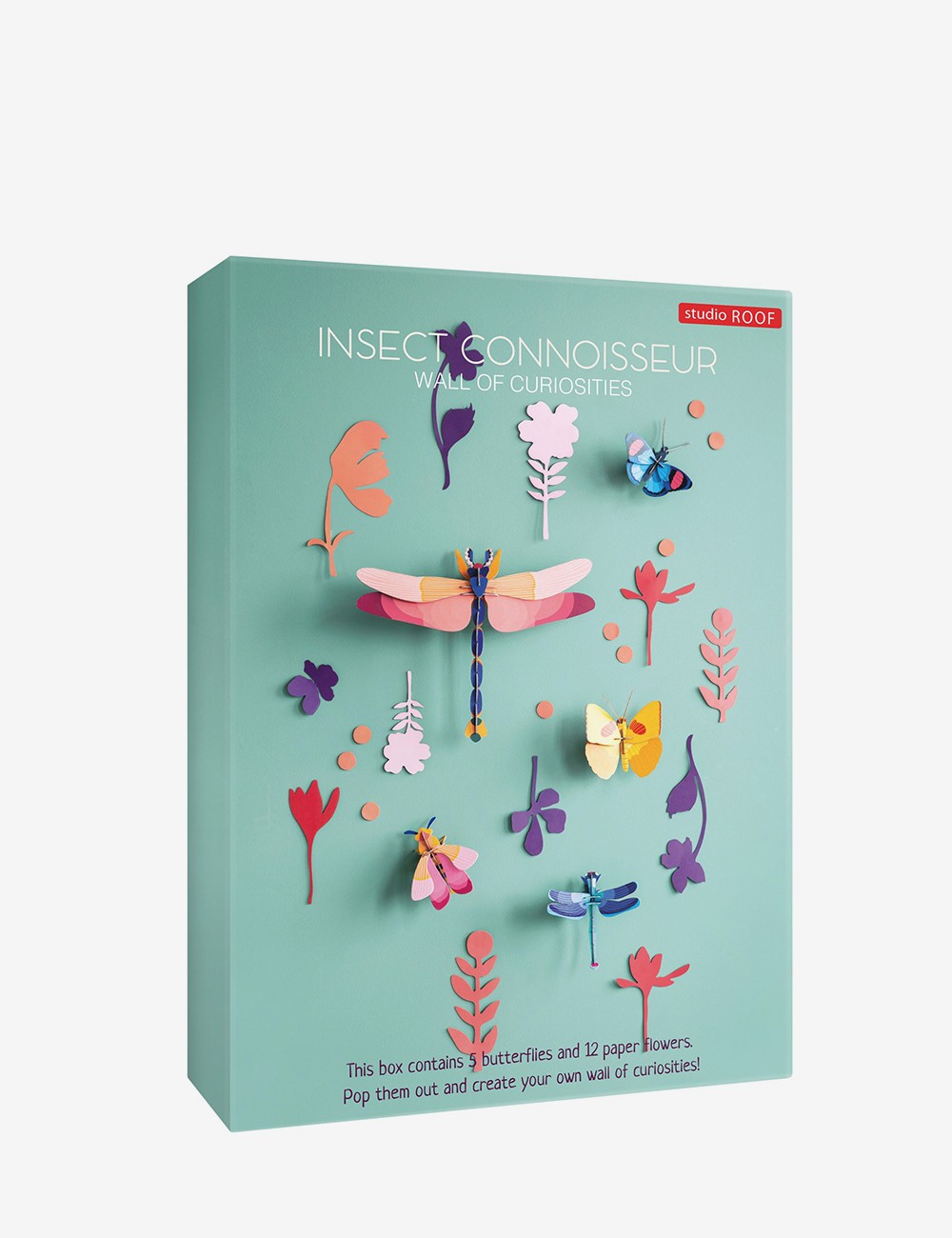insect connoisseur